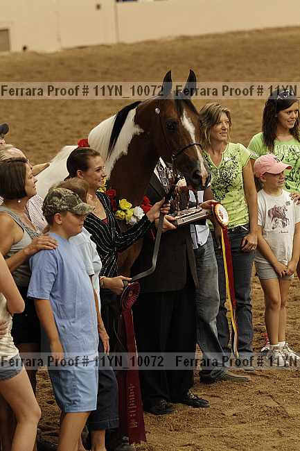 Proof 11yn_10072