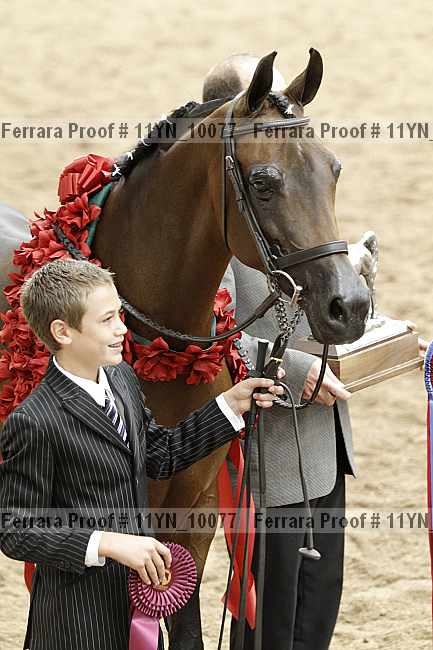 Proof 11yn_10077