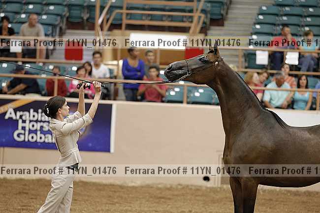 Proof 11yn_01476