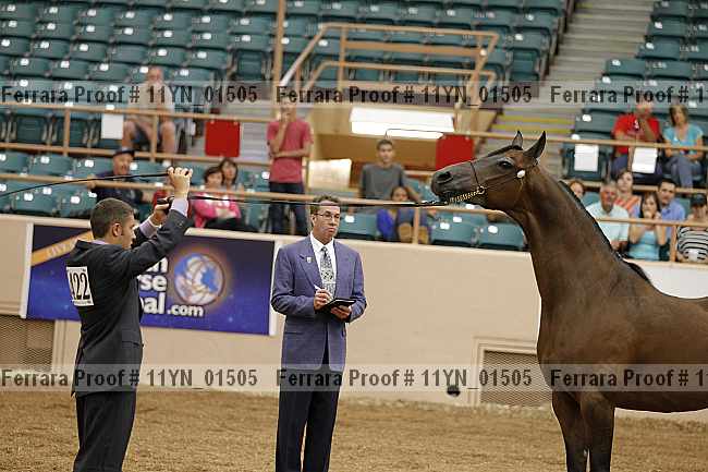 Proof 11yn_01505
