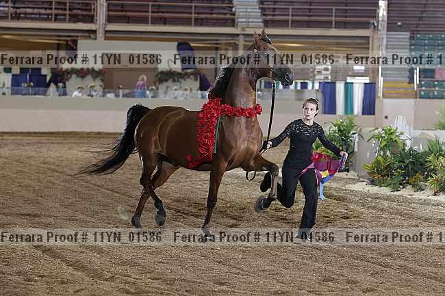 Proof 11yn_01586