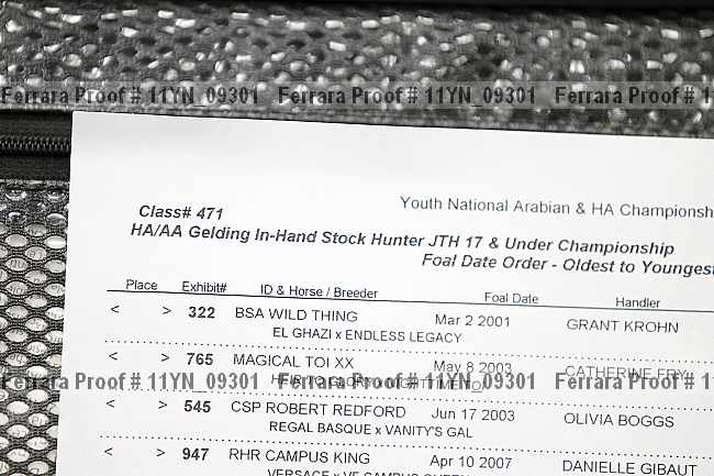 Proof 11yn_09301