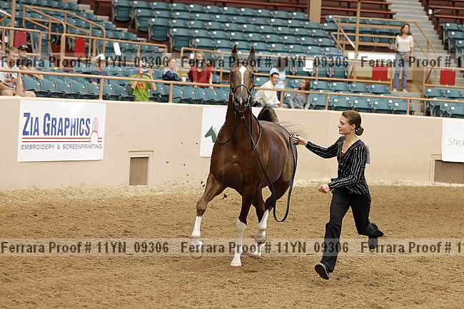 Proof 11yn_09306