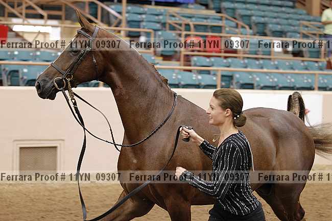 Proof 11yn_09307