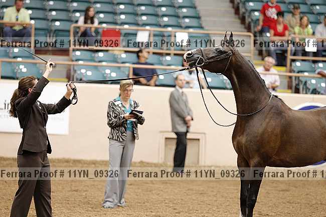 Proof 11yn_09326