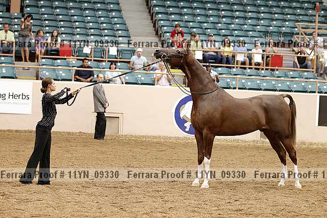 Proof 11yn_09330