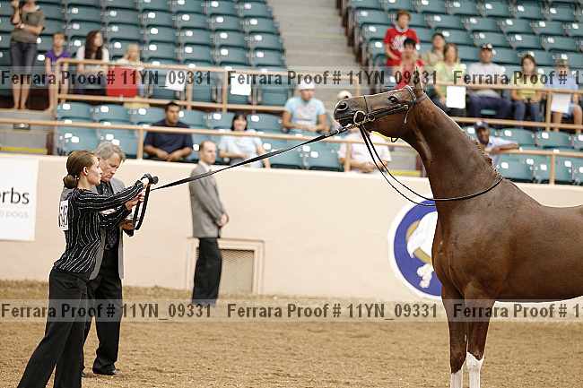Proof 11yn_09331