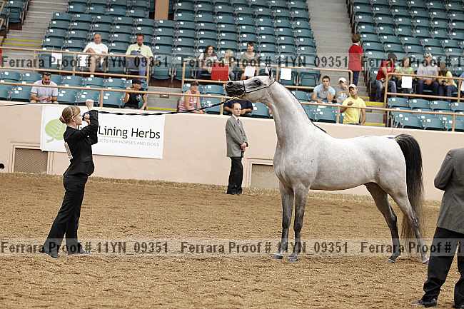 Proof 11yn_09351
