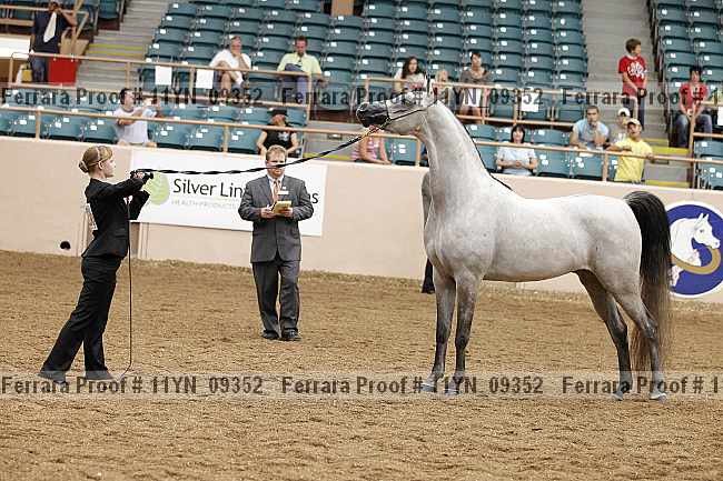 Proof 11yn_09352