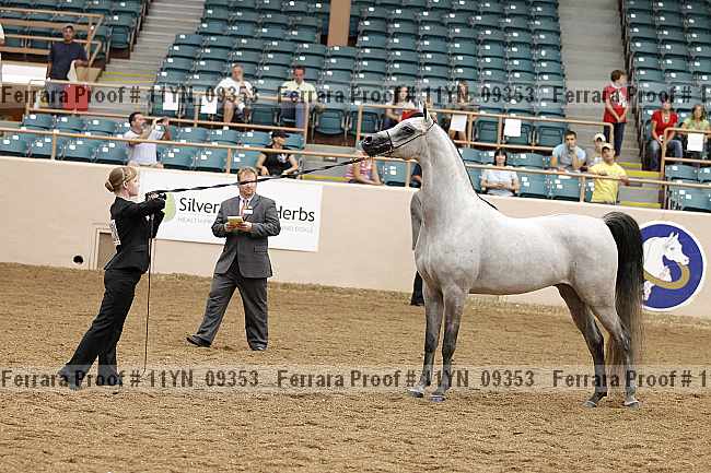 Proof 11yn_09353
