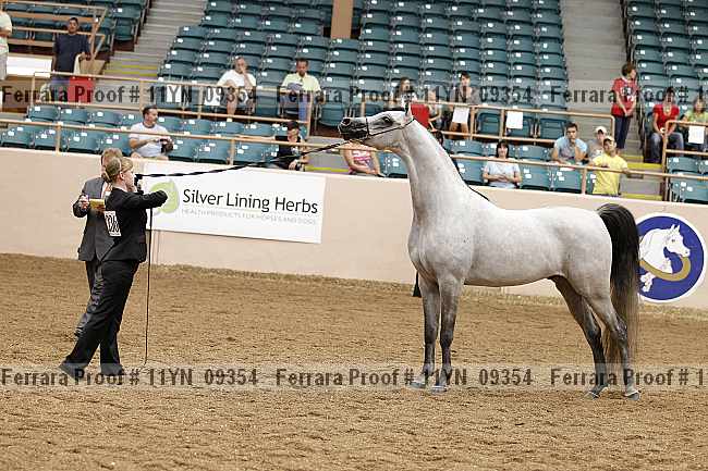 Proof 11yn_09354