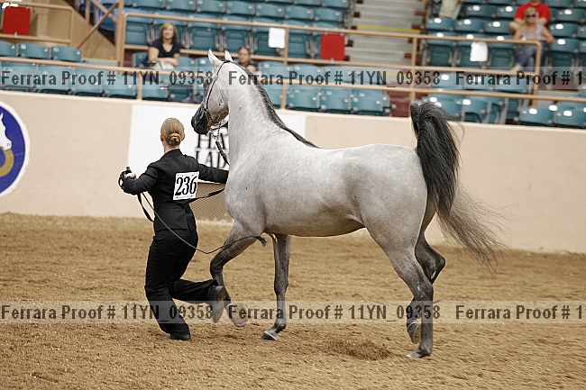 Proof 11yn_09358