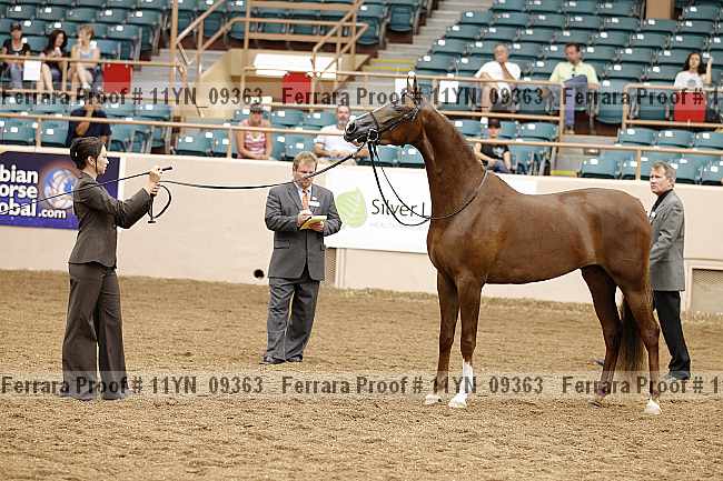 Proof 11yn_09363