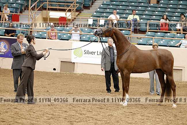 Proof 11yn_09366