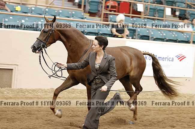 Proof 11yn_09369