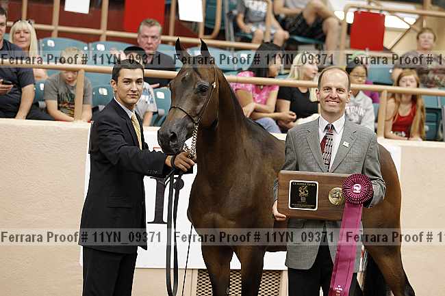Proof 11yn_09371