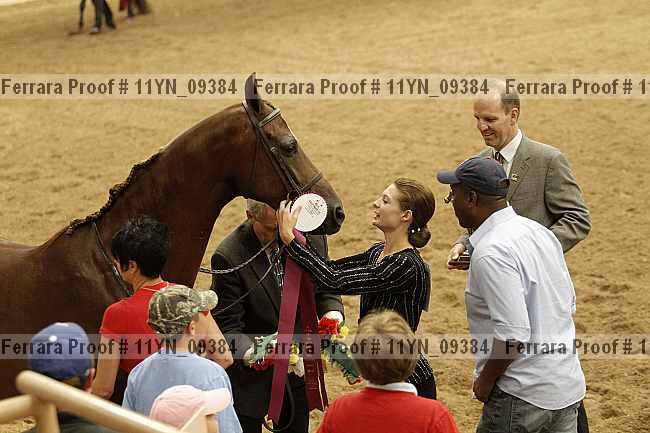 Proof 11yn_09384