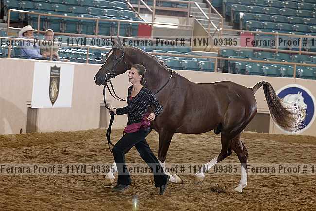 Proof 11yn_09385