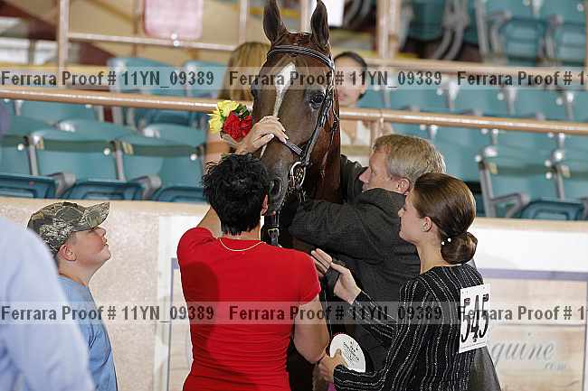 Proof 11yn_09389