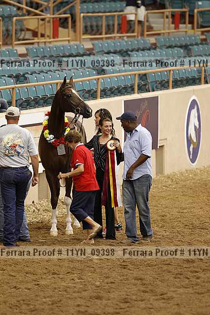 Proof 11yn_09398