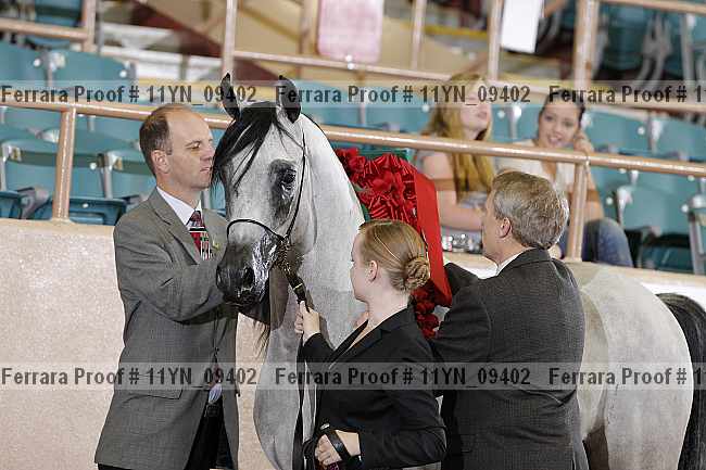 Proof 11yn_09402