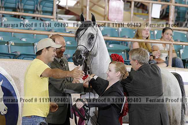 Proof 11yn_09403