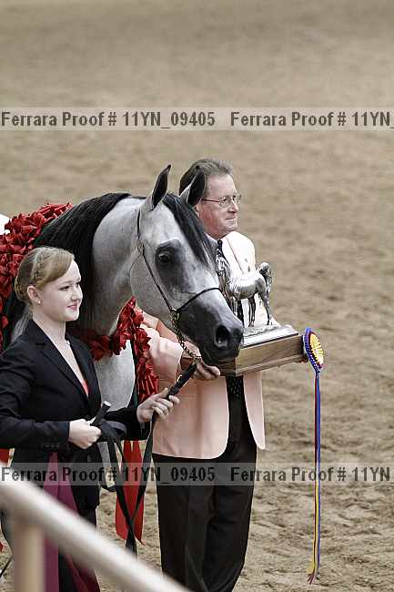 Proof 11yn_09405