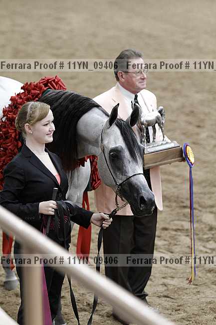 Proof 11yn_09406