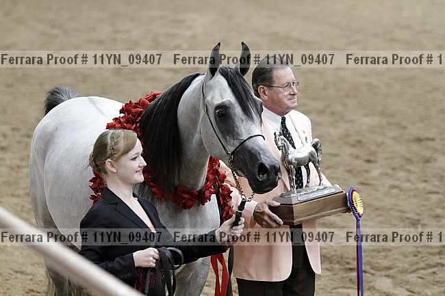 Proof 11yn_09407