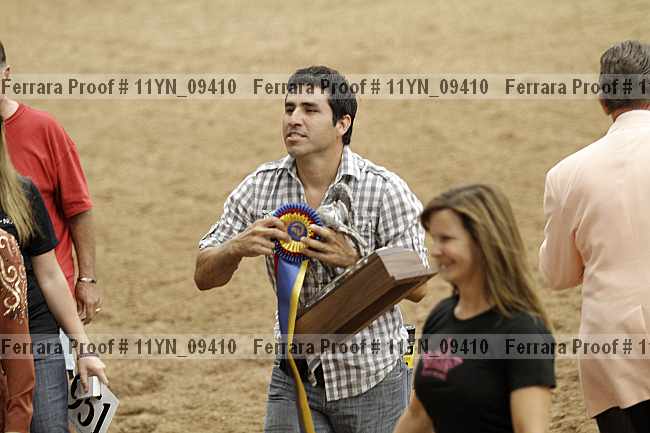 Proof 11yn_09410
