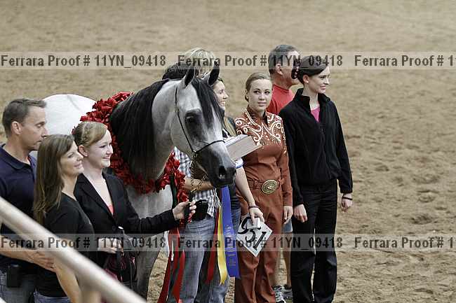 Proof 11yn_09418