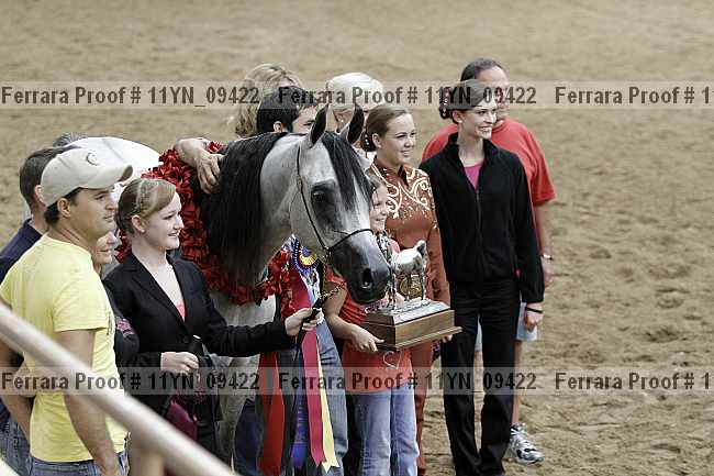 Proof 11yn_09422