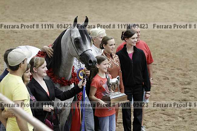 Proof 11yn_09423