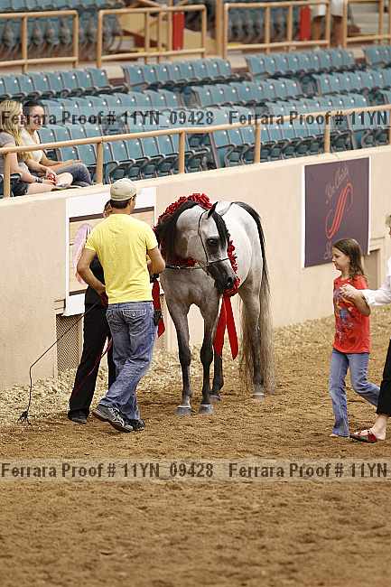 Proof 11yn_09428