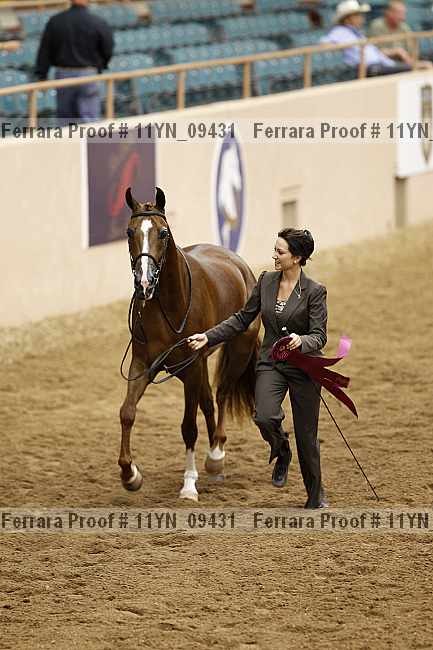 Proof 11yn_09431