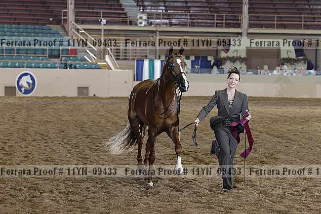 Proof 11yn_09433