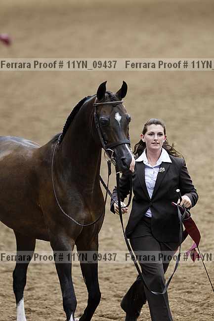 Proof 11yn_09437