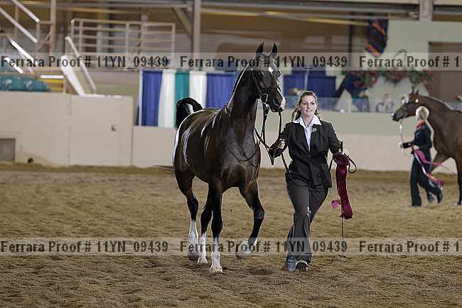 Proof 11yn_09439