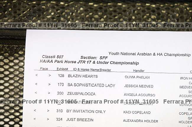 Proof 11yn_31605