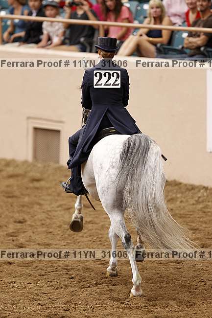 Proof 11yn_31606