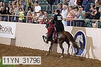 11yn_31796 proof