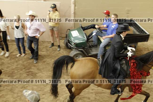 Proof 11yn_31875