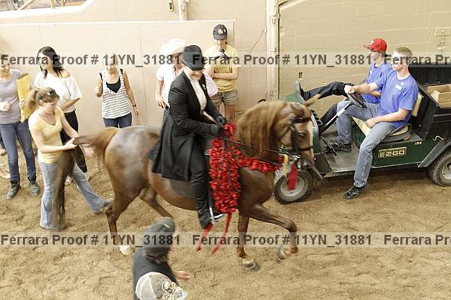 Proof 11yn_31881