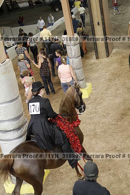 Proof 11yn_31889