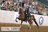 11yn_19993 proof