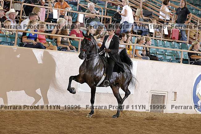 Proof 11yn_19996