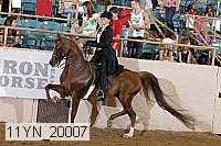 11yn_20007 proof