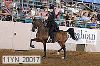 11yn_20017 proof