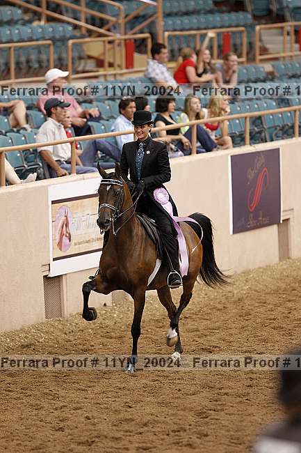 Proof 11yn_20024