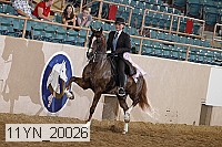 11yn_20026 proof